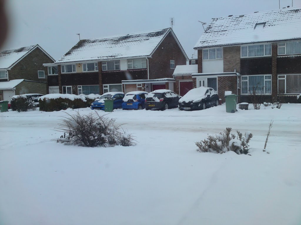 Nothwood Drive in the snow