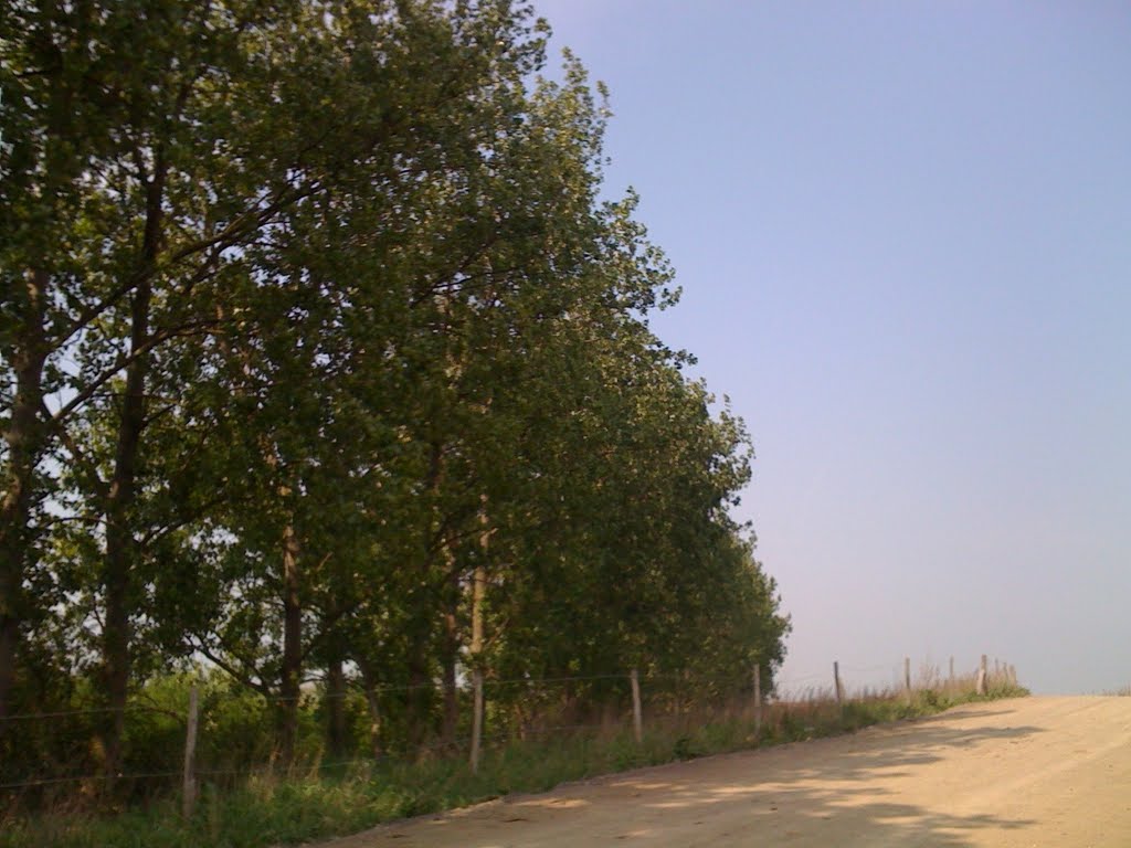Entrance road to the bridge site