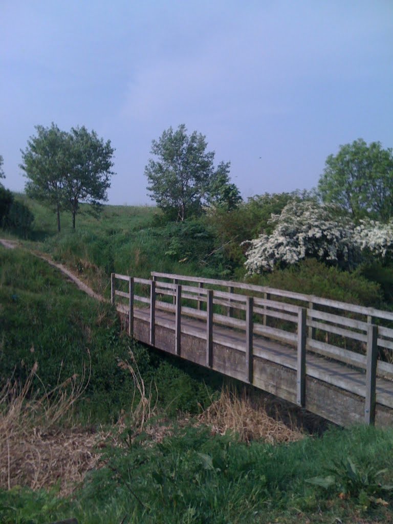 Milton creek country park