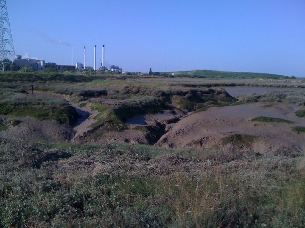 Milton creek