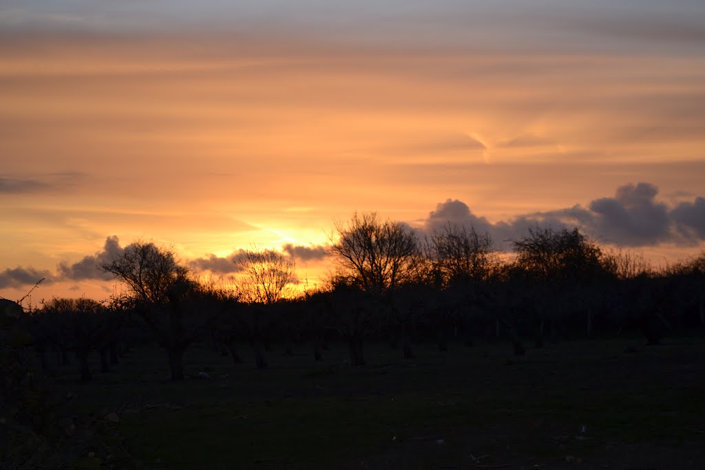 Sunrise