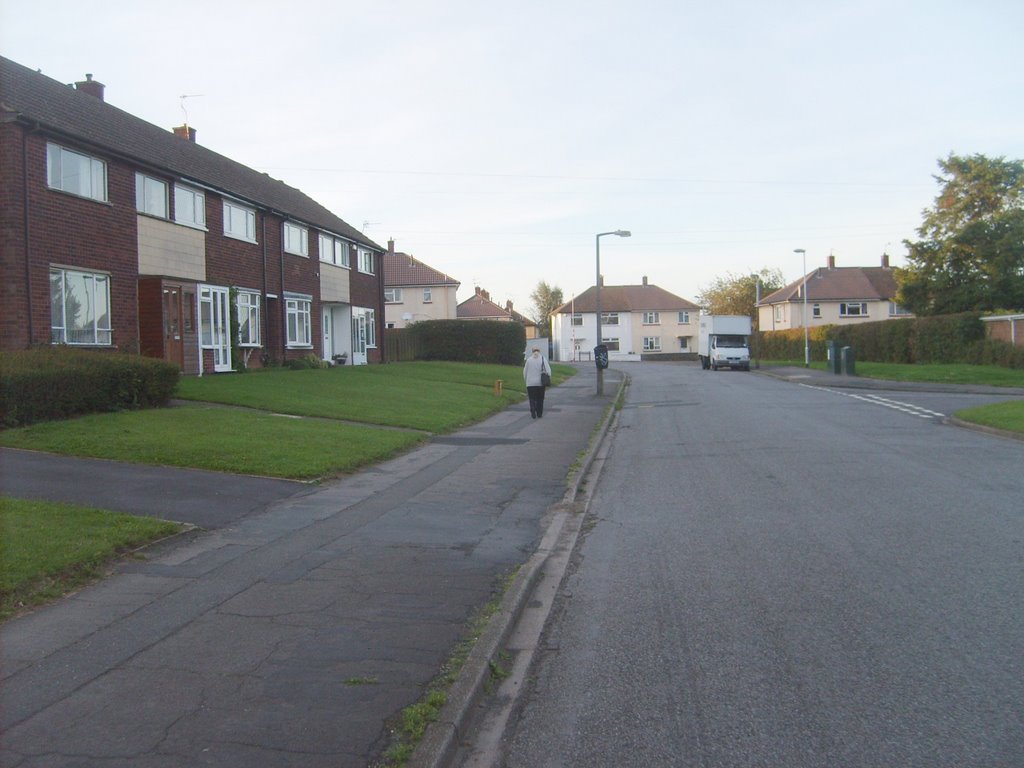 Bridges Road 11-8-2008