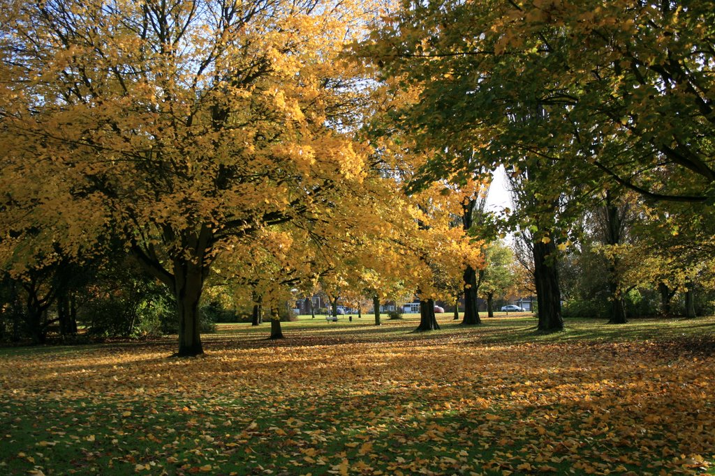 Scunthorpe Central Park