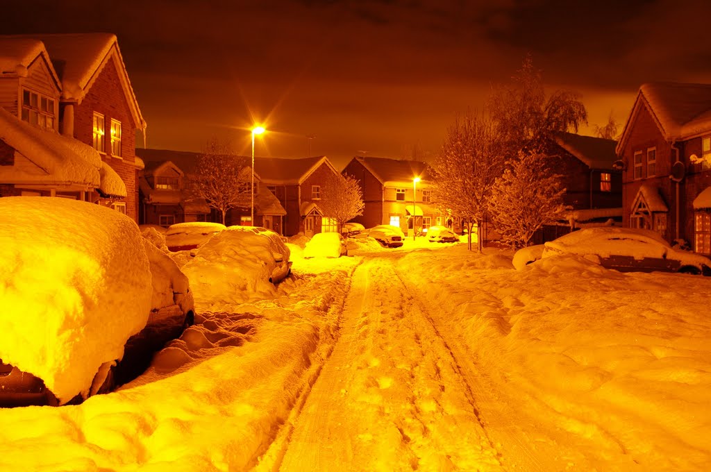 Winter in the Lincolnshire 2010