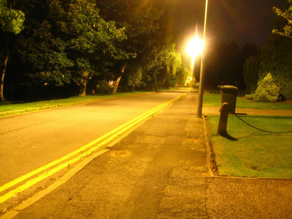 Belvedere Drive Nighttime