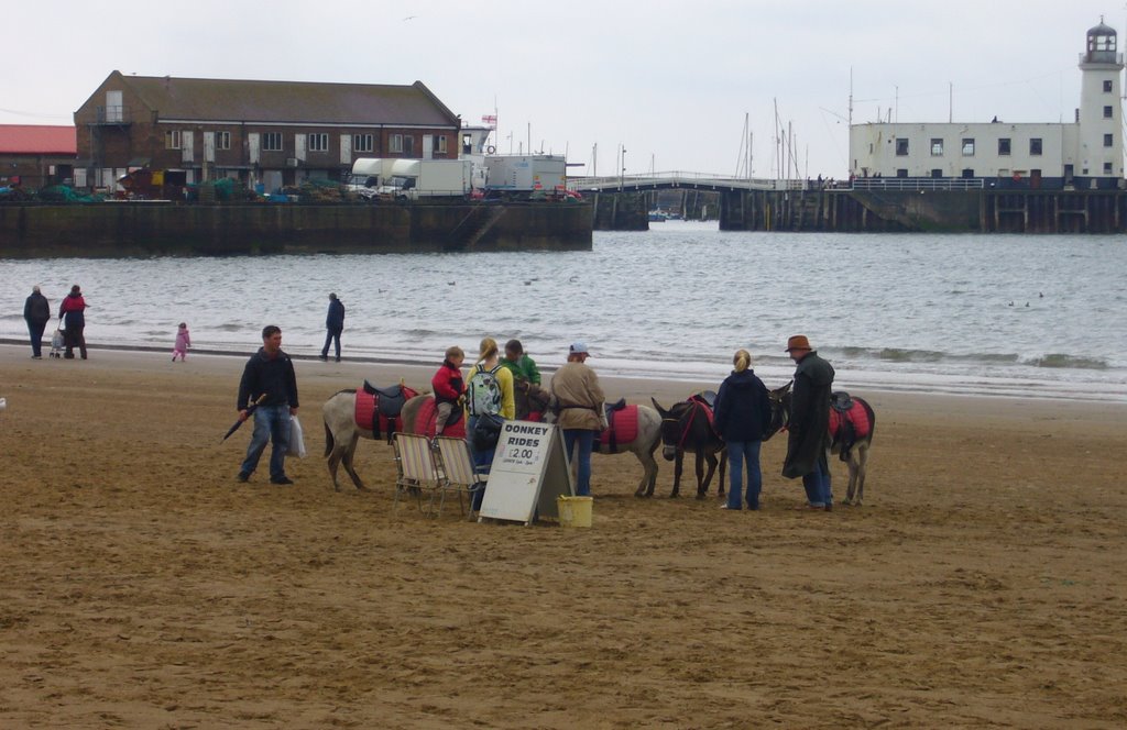 Anyone for a donkey?