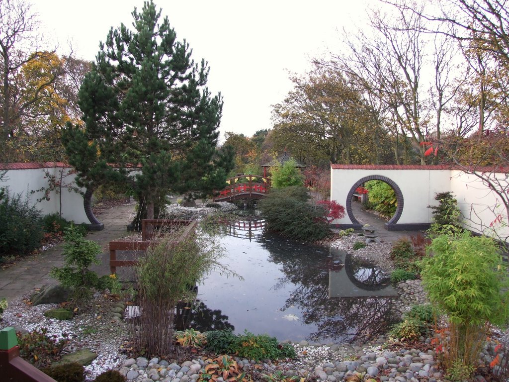 Chinese Garden 1