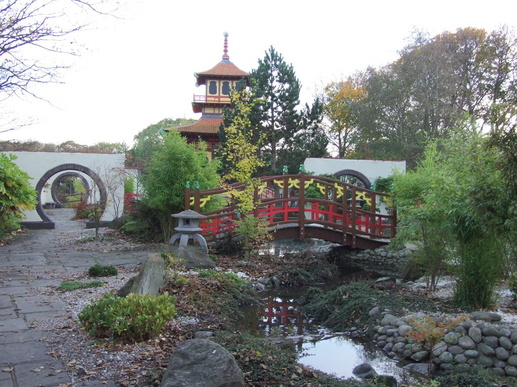 Chinese Garden