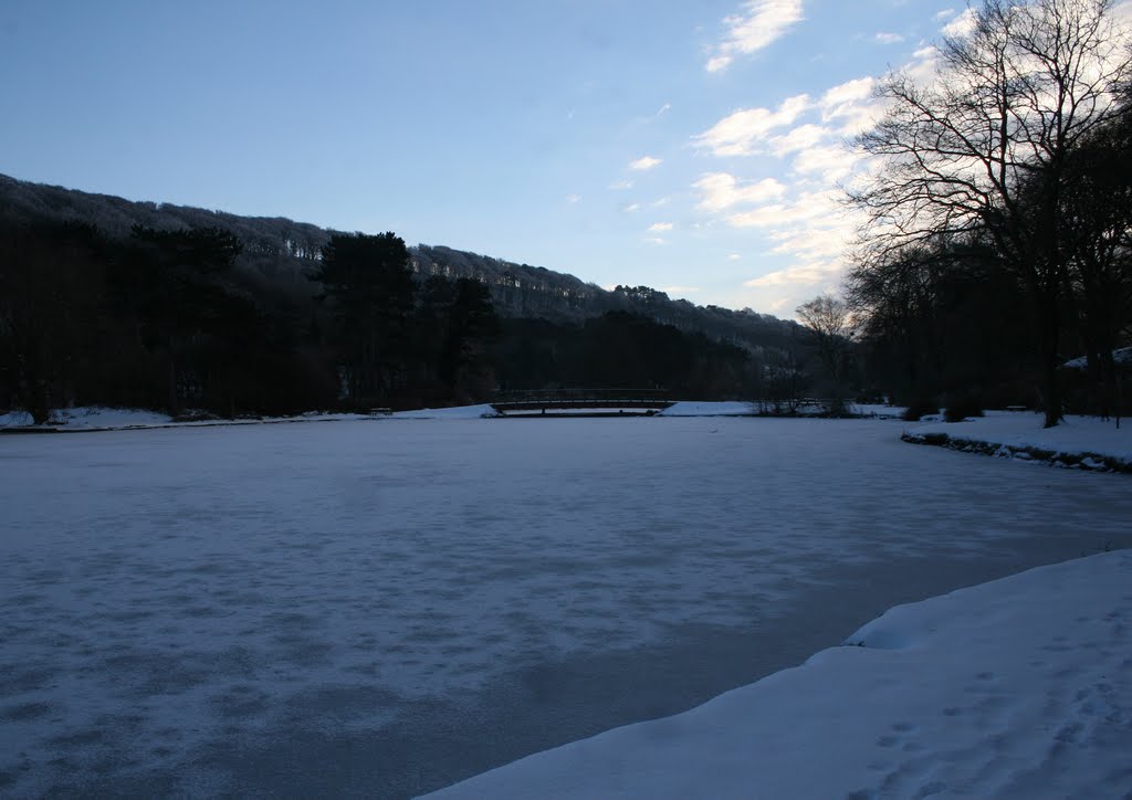 Winter Blues