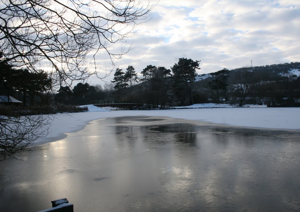 Afternoon at Scarborough Mere