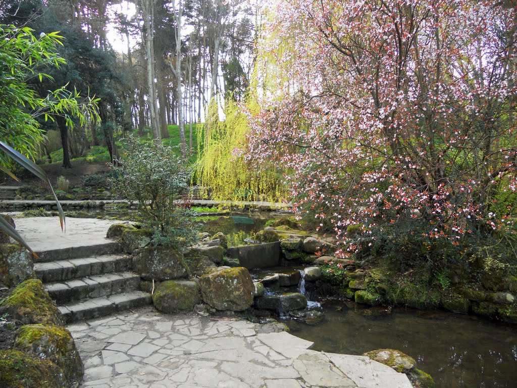 Peasholm Park