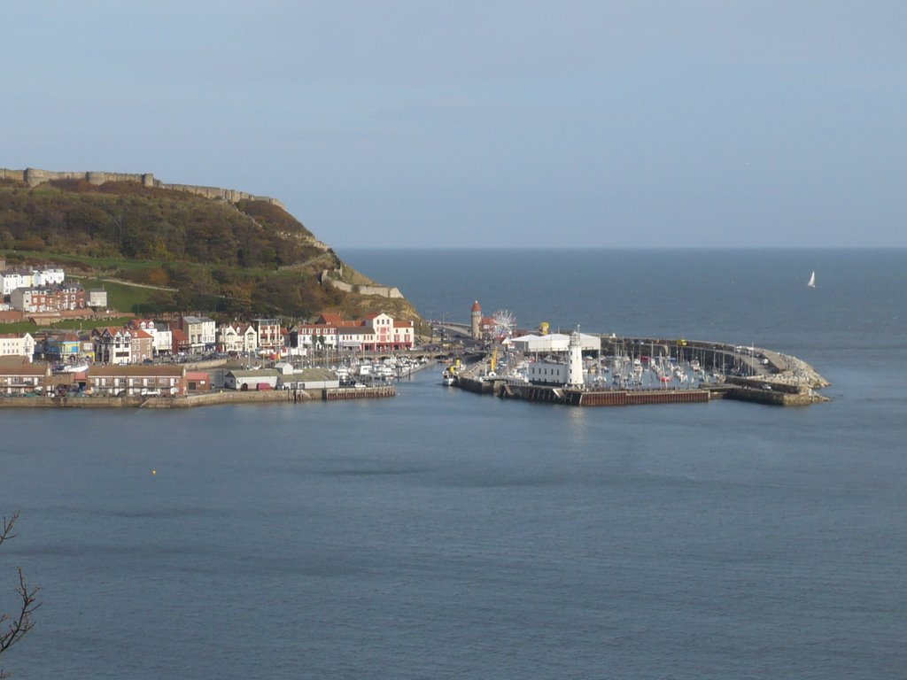Harbour, Nov 2007
