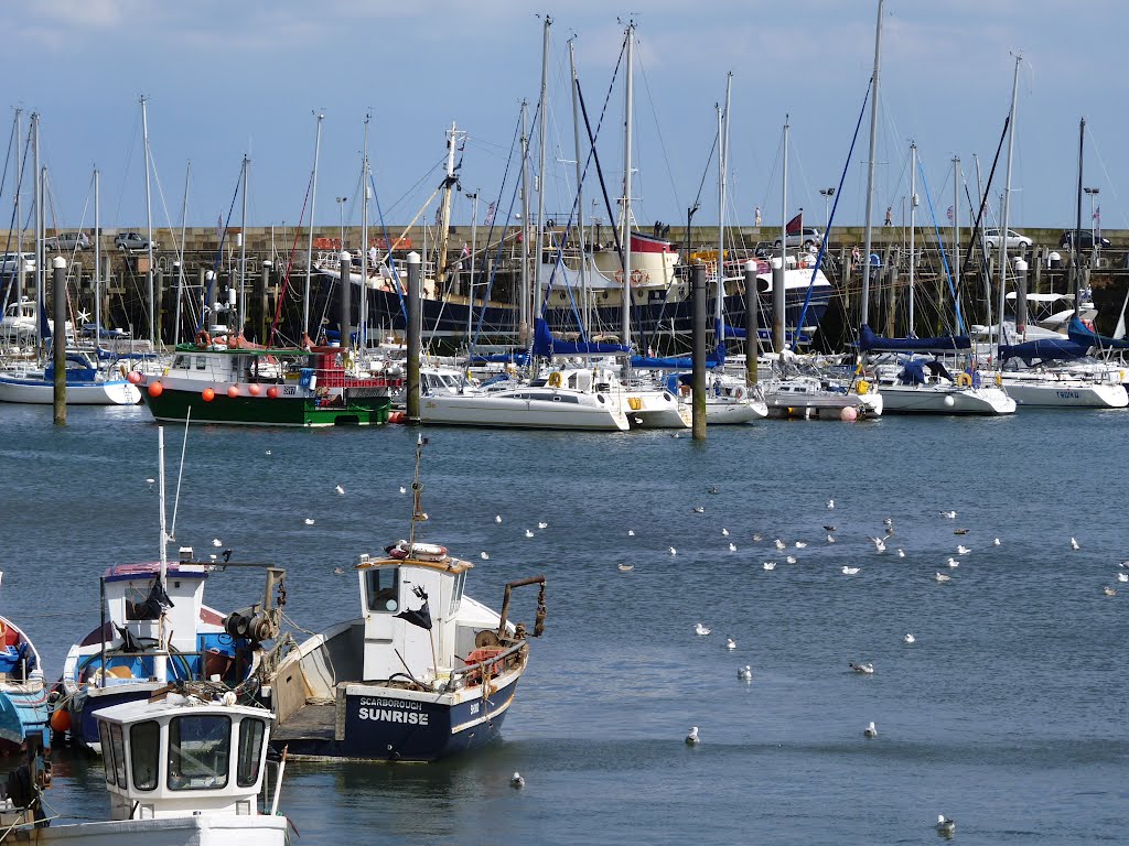 Harbour and the boats,Scarborough.
