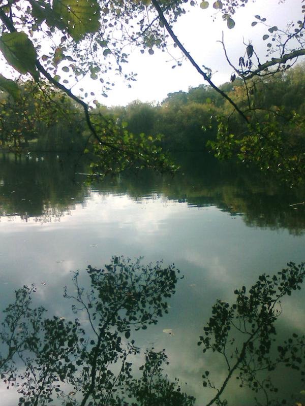 Tudor Grange Lake