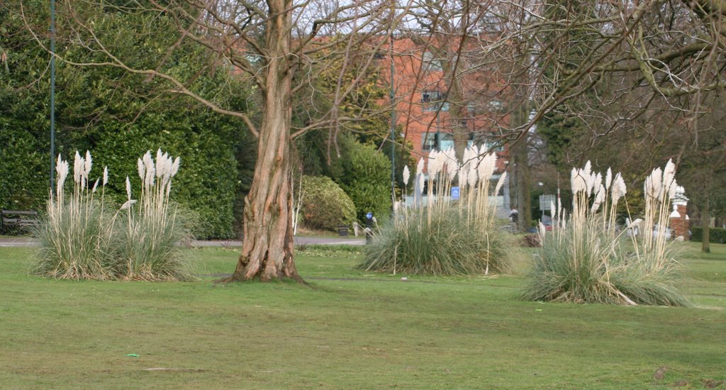 Winter in Malvern park
