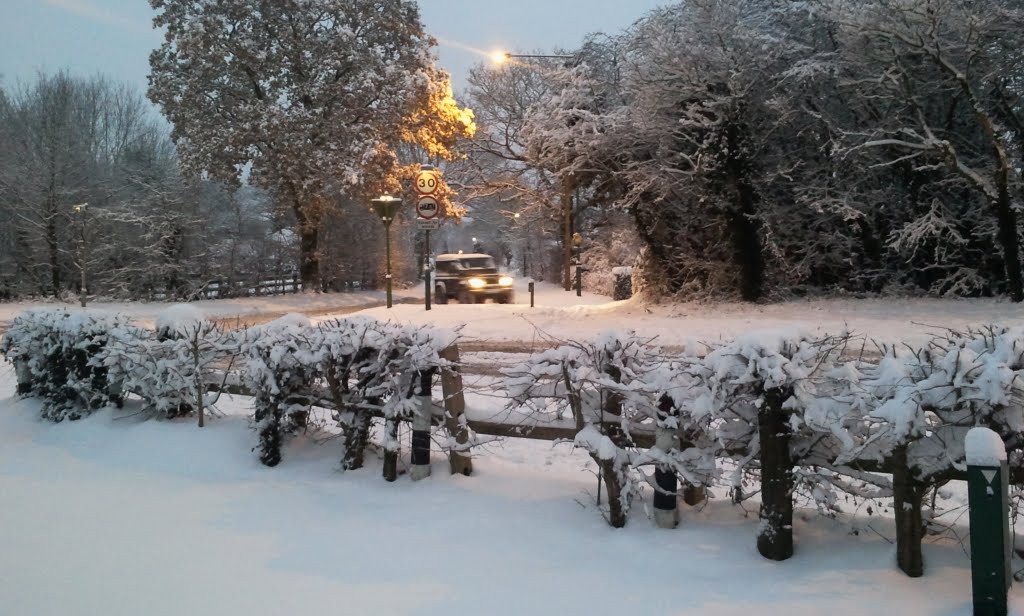 December Snow