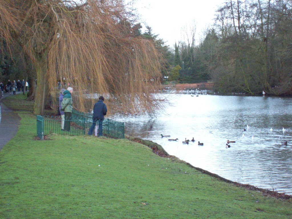 Brueton Park Lake