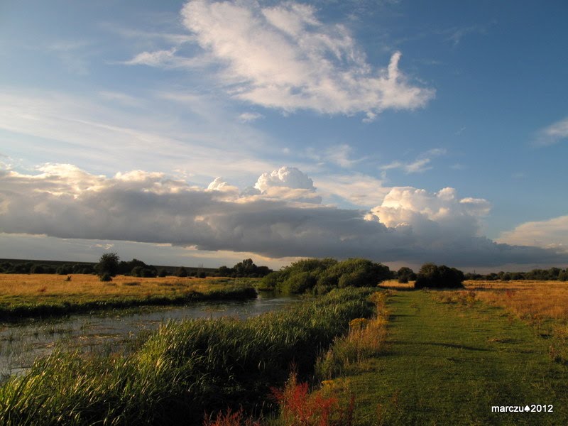 Staines Moor