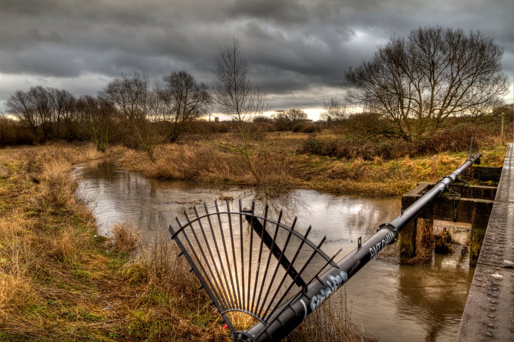 Doxay Marshes