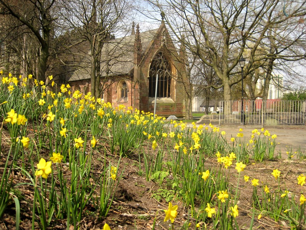 St. Marys Church daffodils
