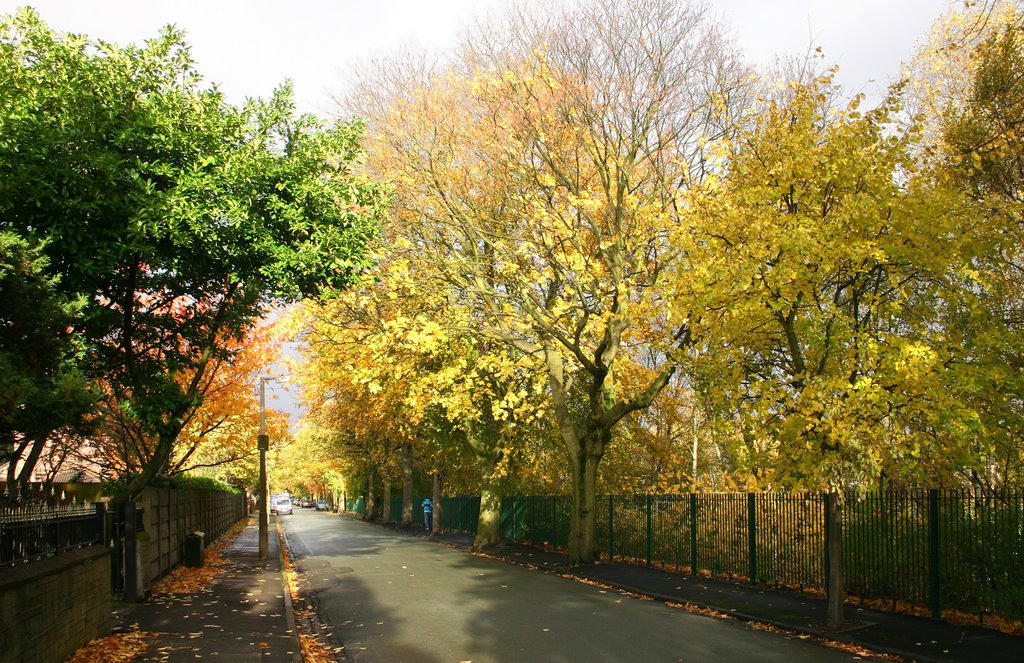 Tatton Road South in autumn