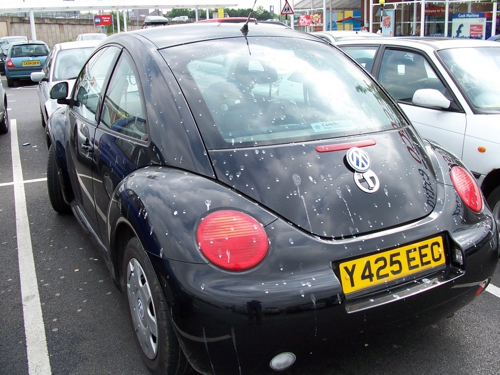 Needs a wash