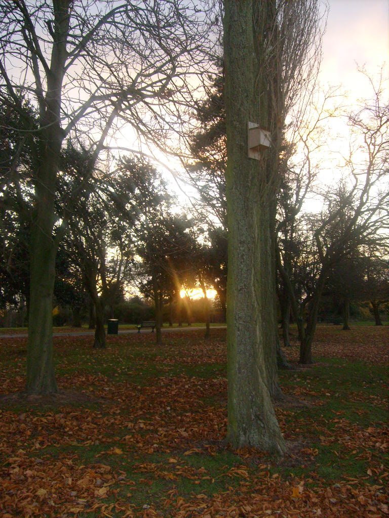 Newham Grange Sunset