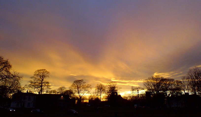 Norton Green February Dusk