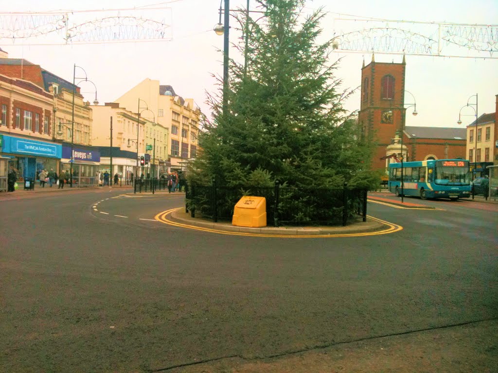 Xmas Tree Stockton
