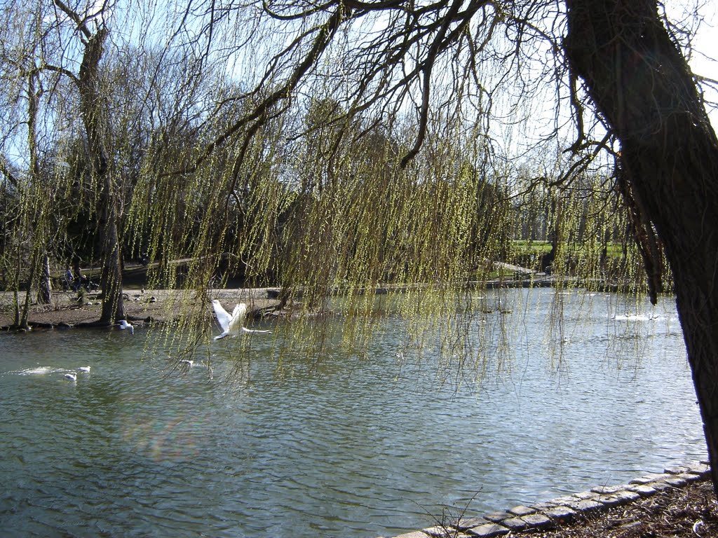 in flight