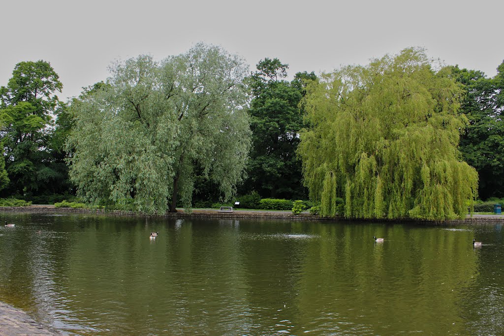 Ropner Park Stockton On Tees