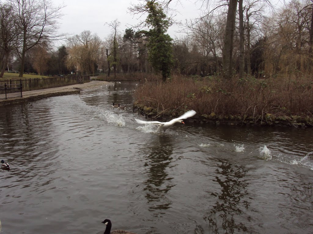 Ropner Park