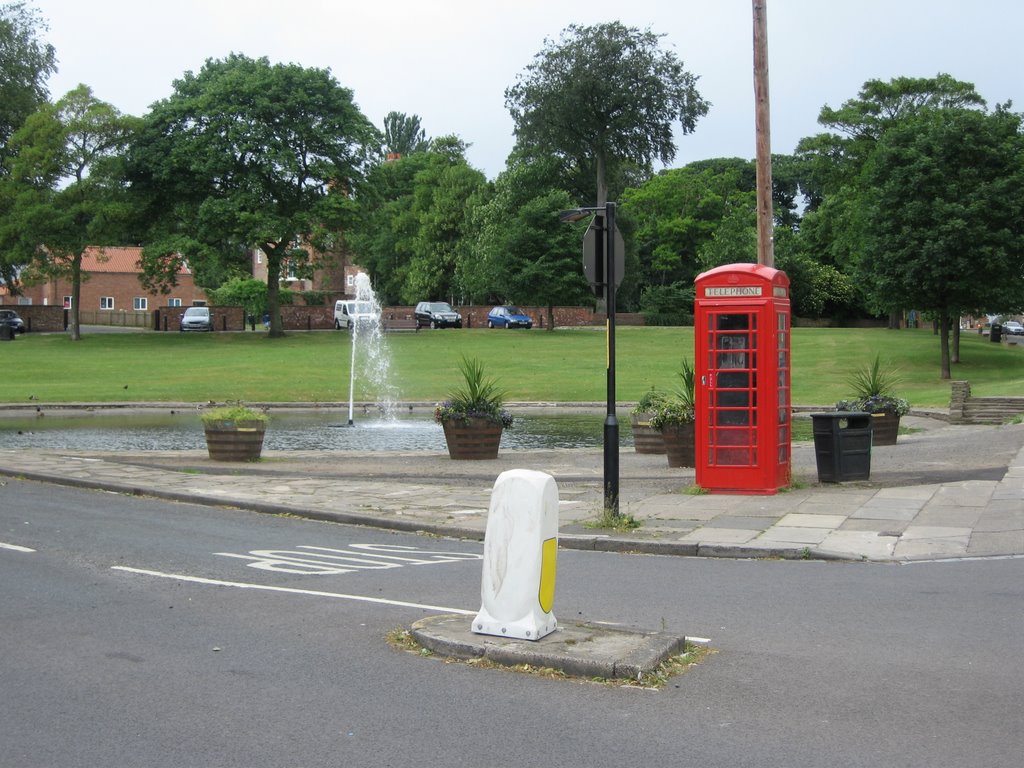 Norton Green, Duck Pond and Red House School, Cleveland