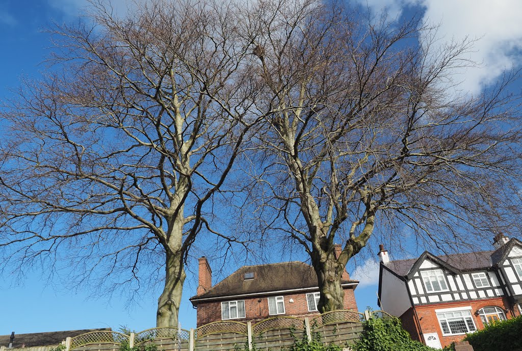 Amblecote