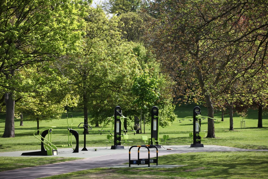 Outdoor Gym at Mary Stevens Park