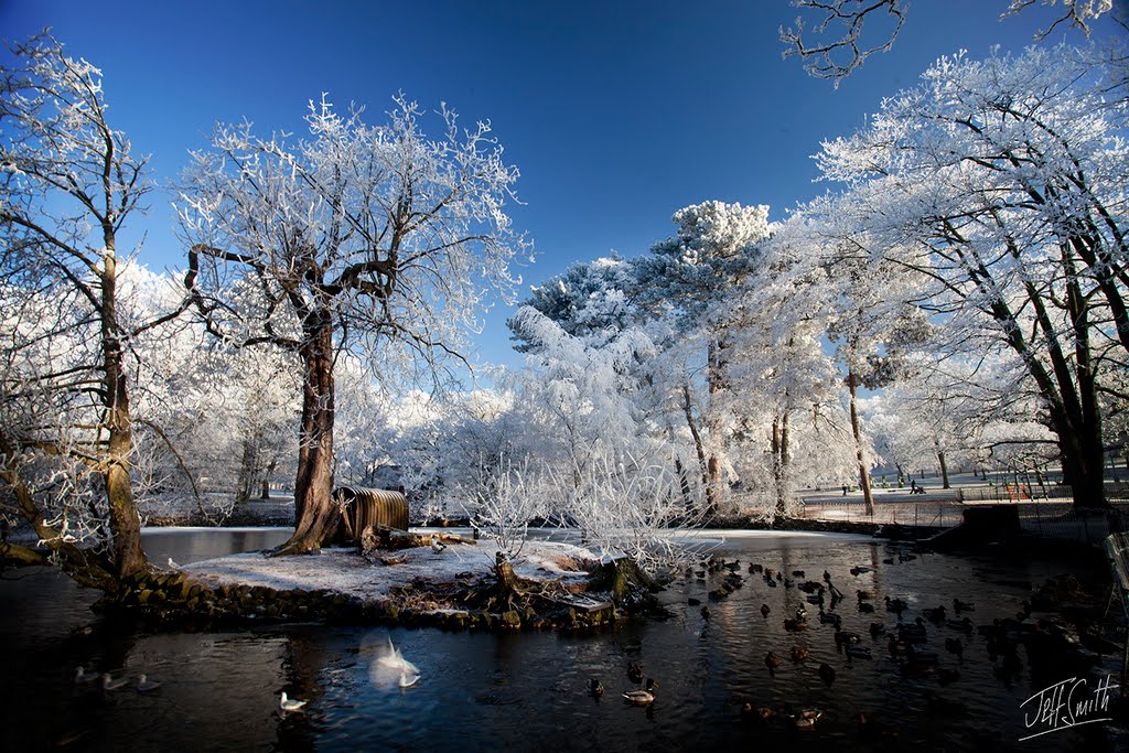 The Lake, Mary Stevens Park
