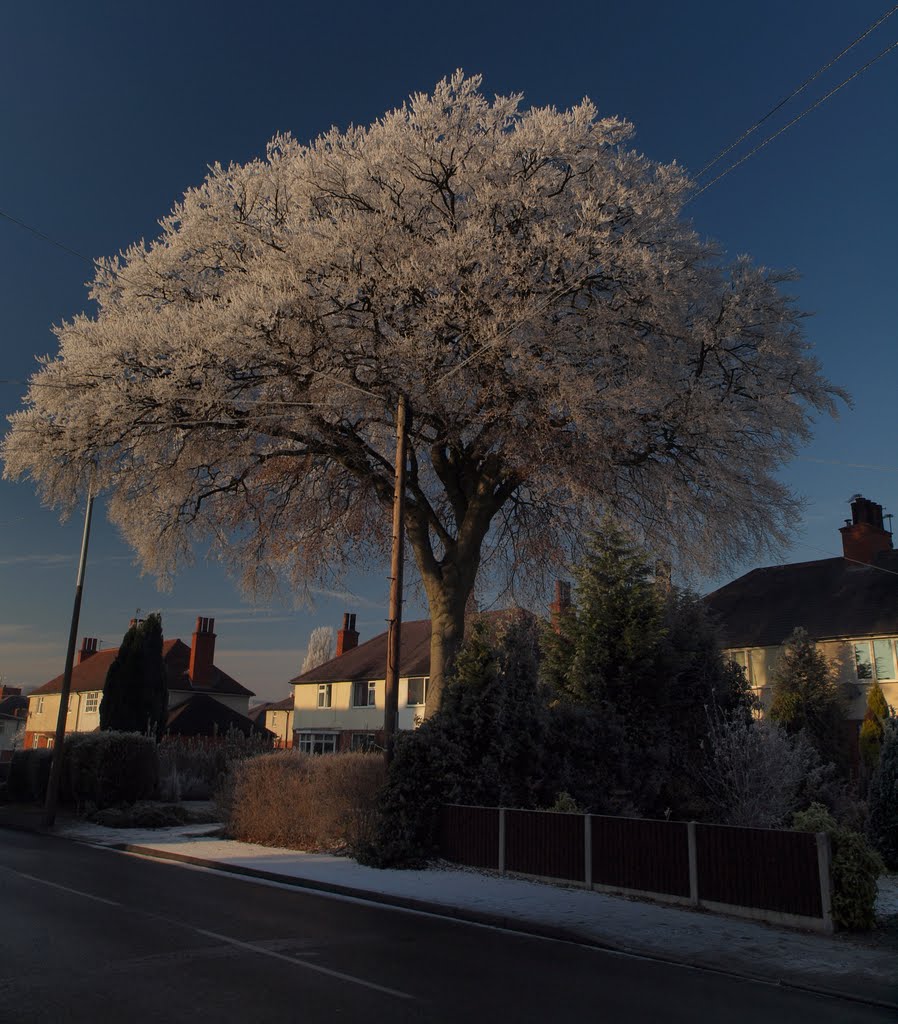 Beech Tree South Rd