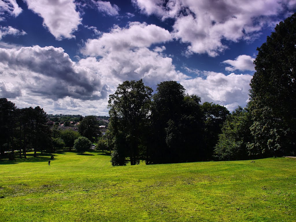 Marys Stevens Park