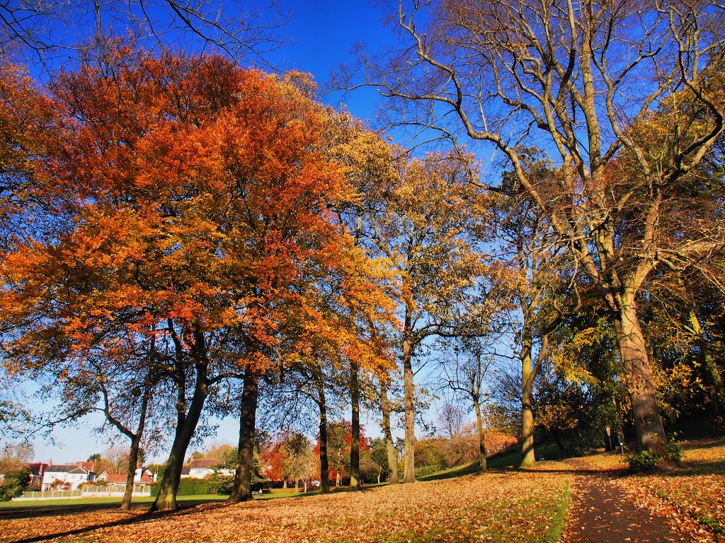 Mary Stevens Park