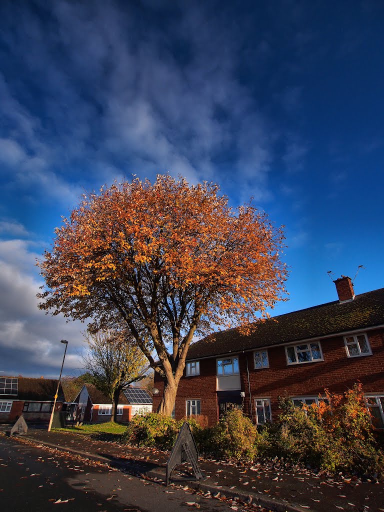 Malvern Avenue