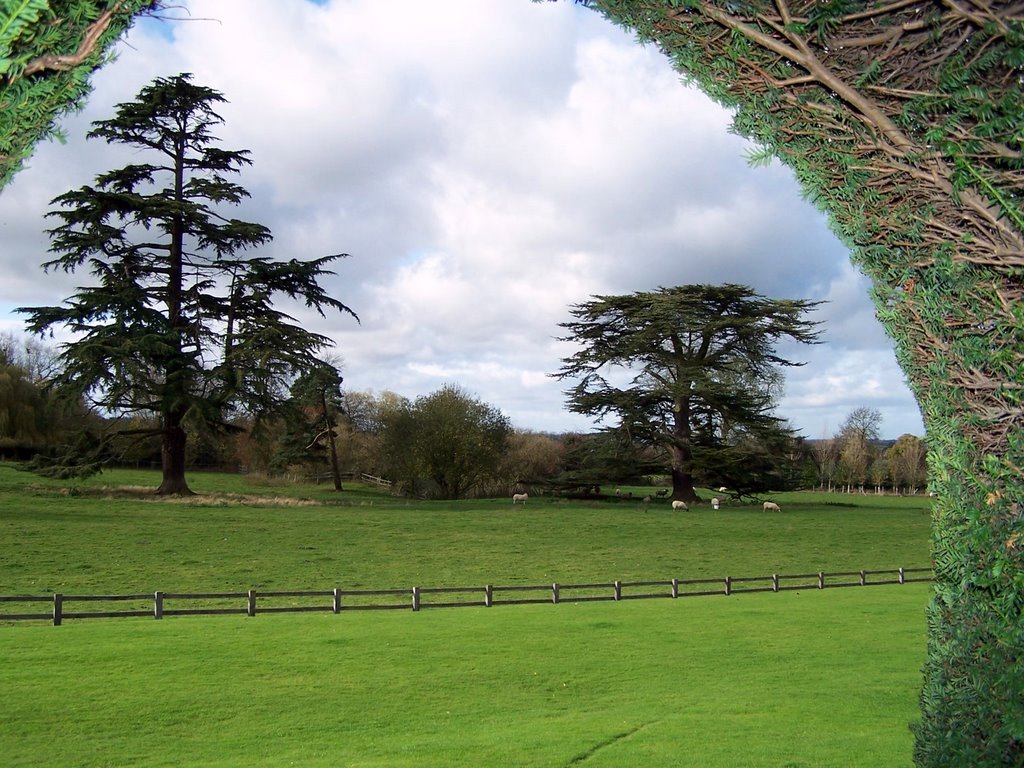 view from loxley church