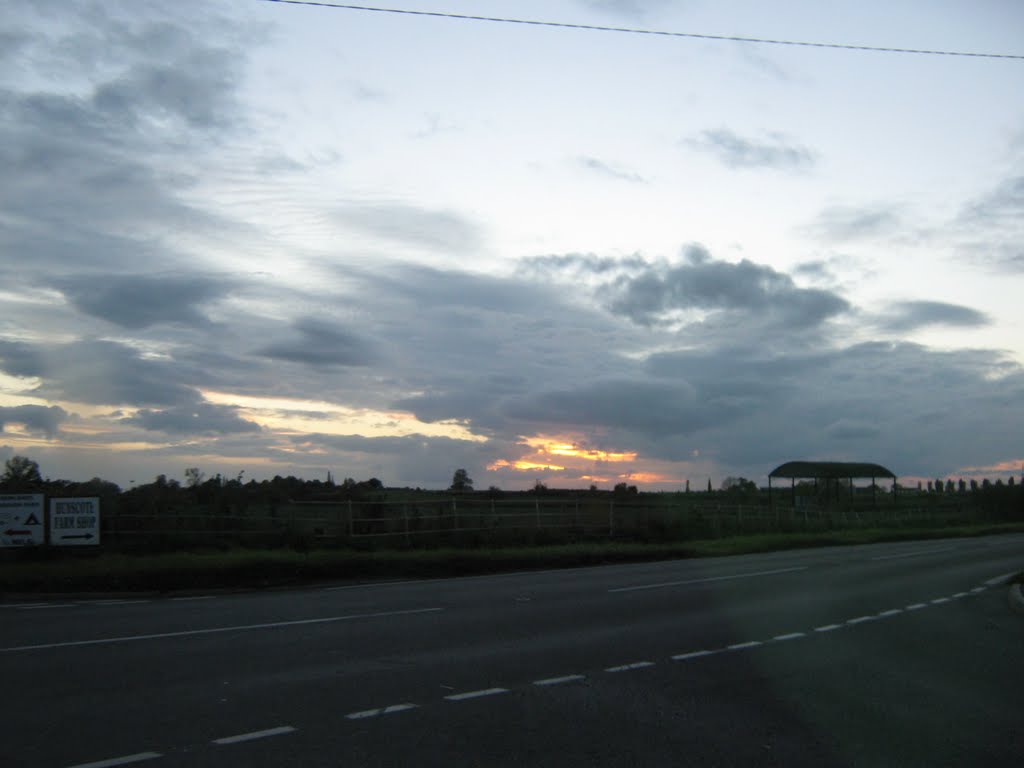 sunset