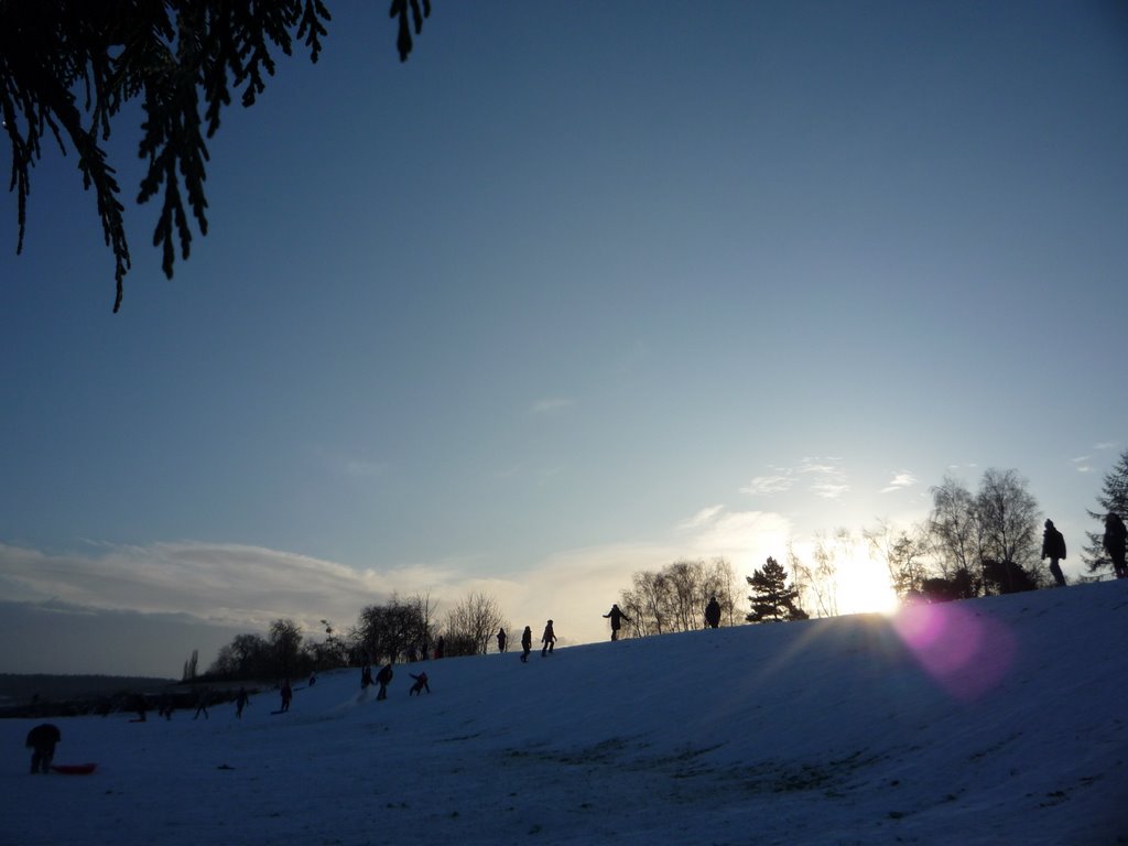 Sledging on the school bank, Jan 2010