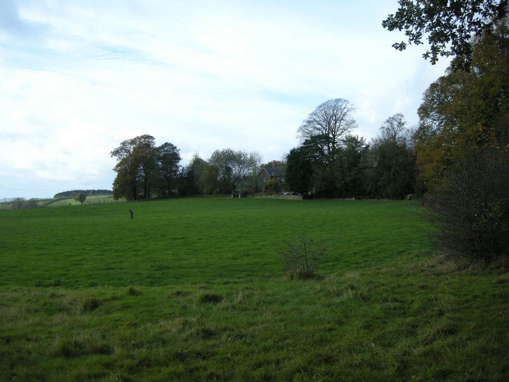 Hatfield Court - Oct 2009