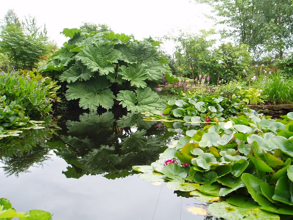Pond at Stockton Bury Gardens, Kimbolton