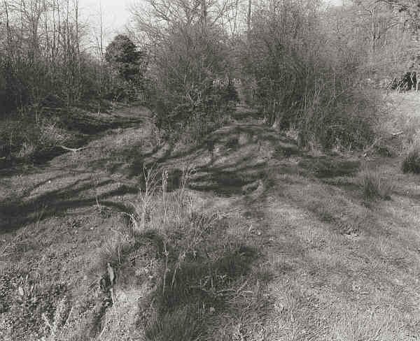 Canal bed, Nr Berrington Hall