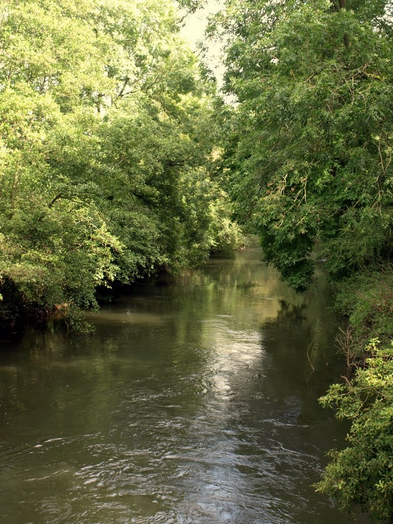 Hampton Court, Herefordshire: the River Lugg