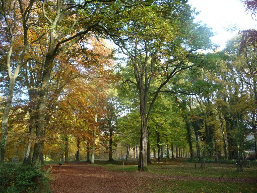 Queenswood Nov 2010