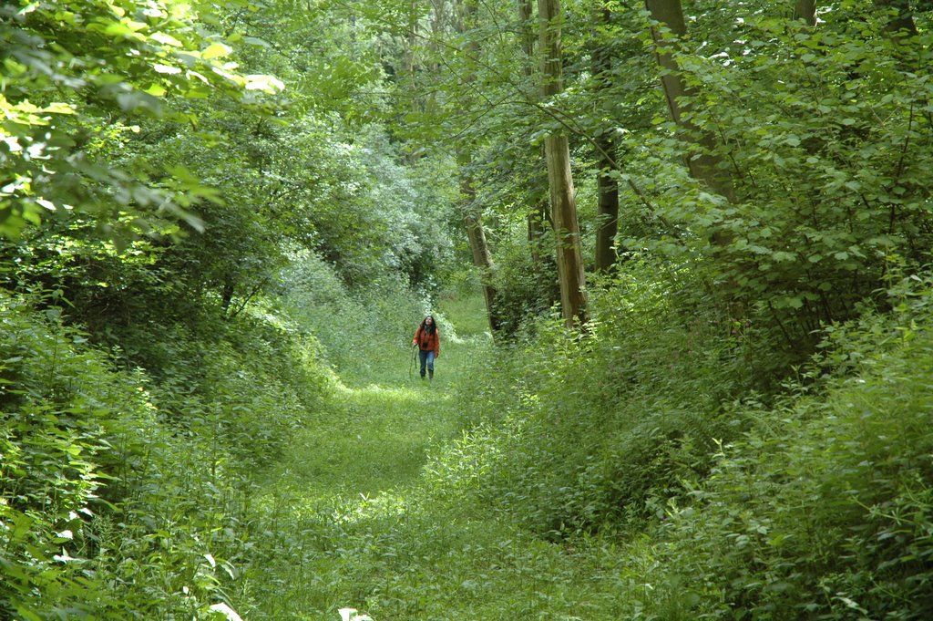 Camp Wood, Ivington