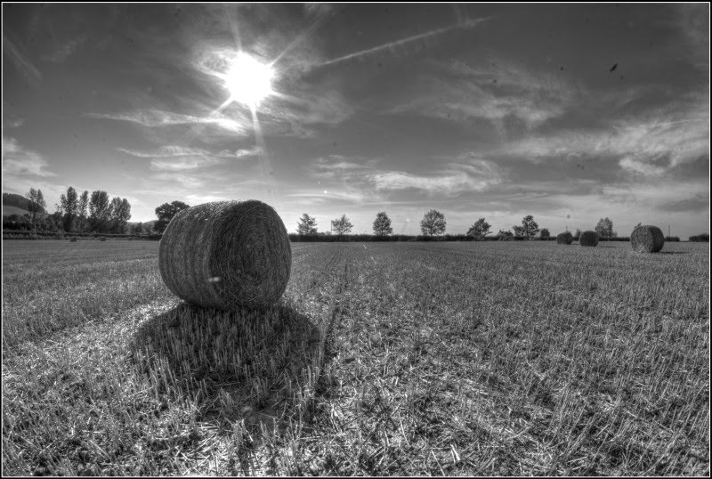 Straw Bales